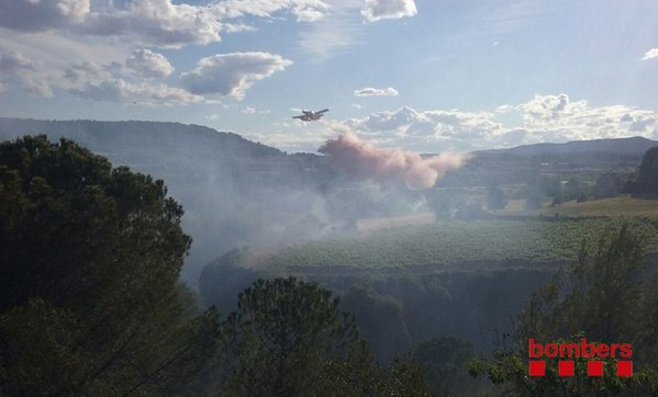 foc torrelavit