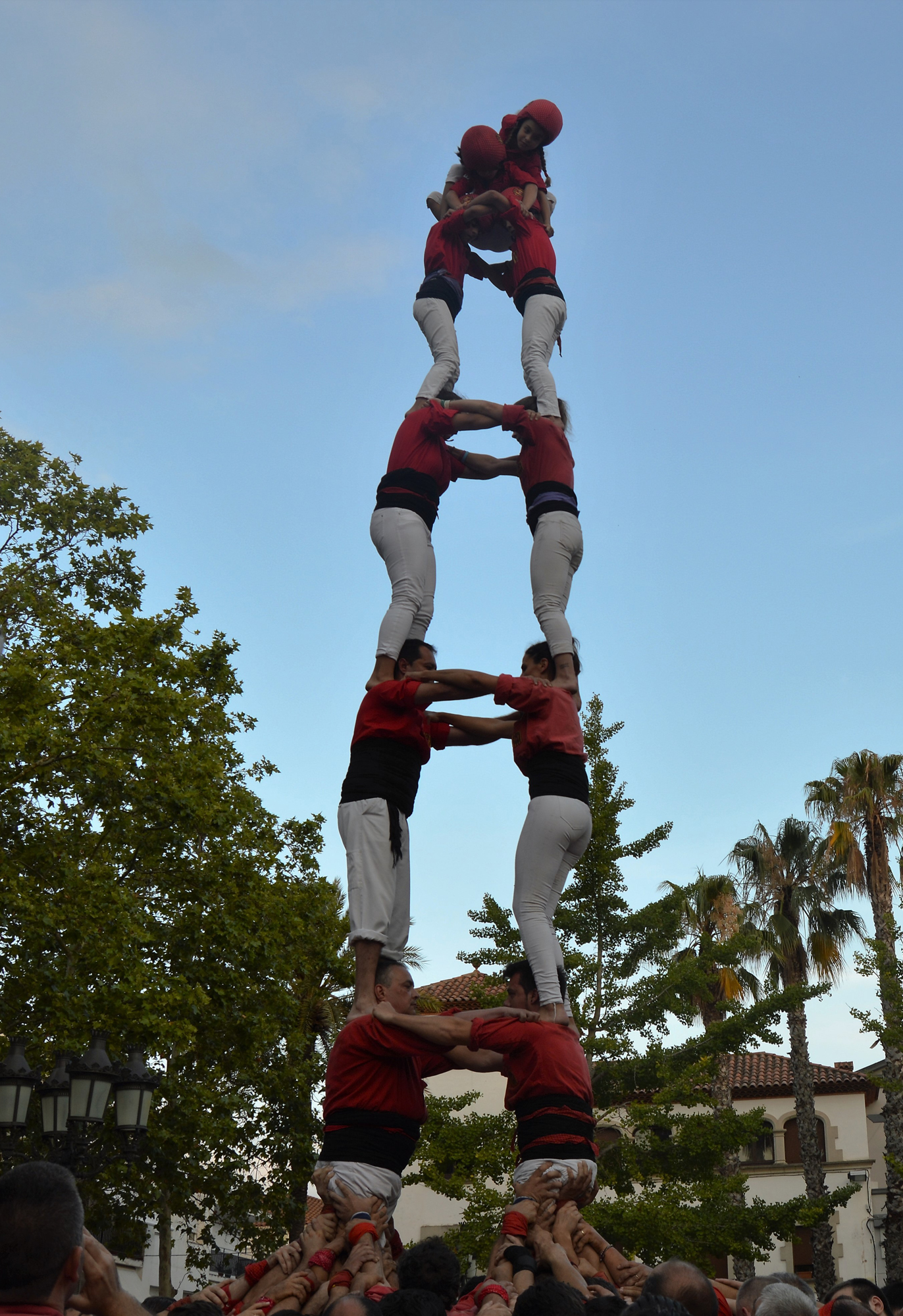 2d7ribes