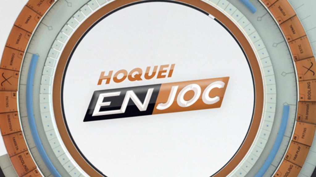 Hoquei en joc
