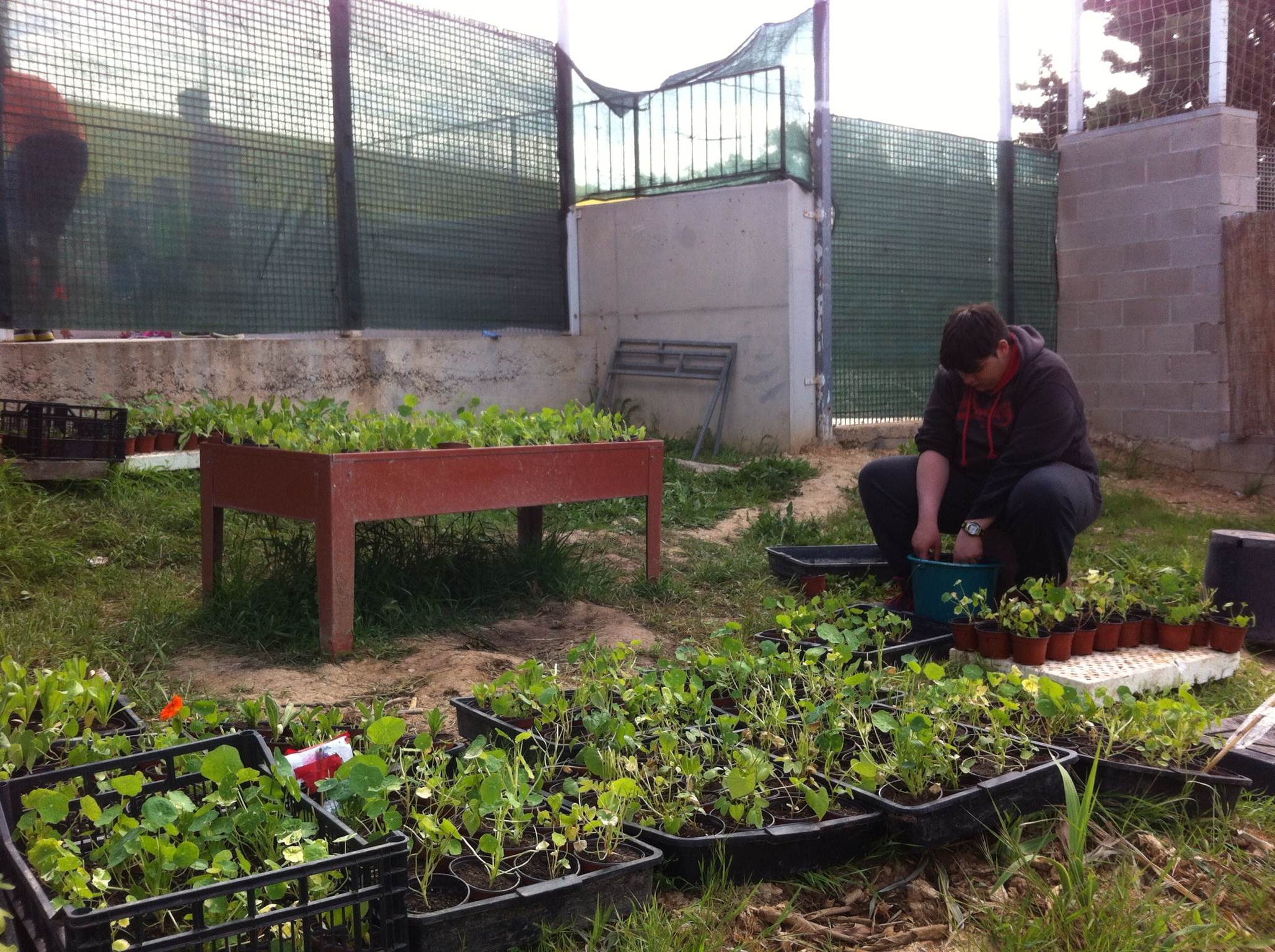 jardineria2