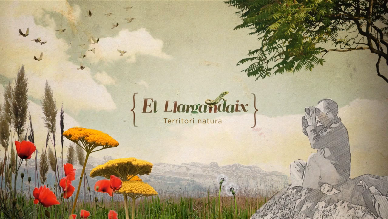 El llargandaix