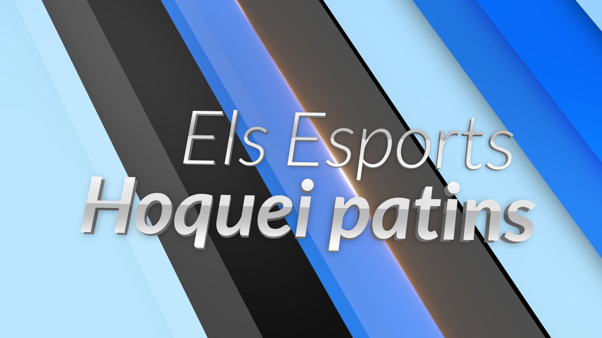 Hoquei en directe