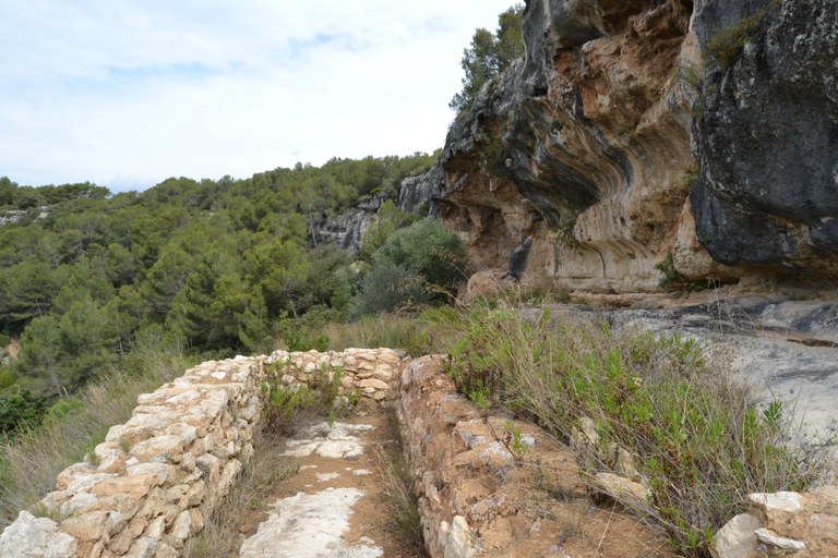 CovesVall