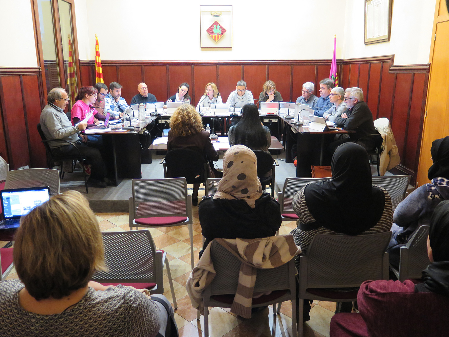 Ple març 2017