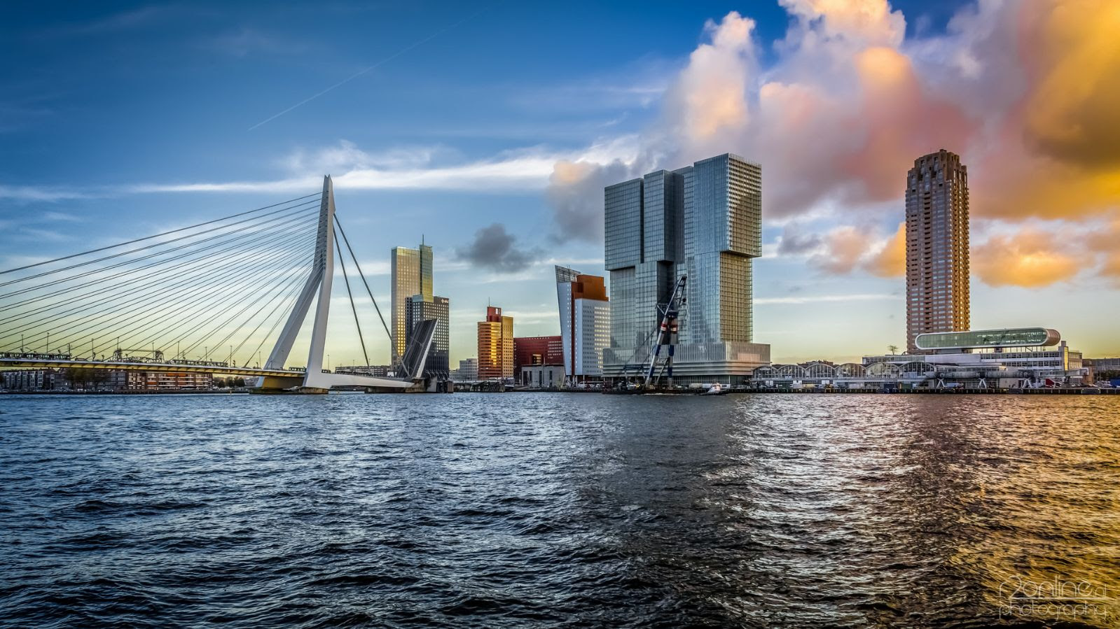 roterdam