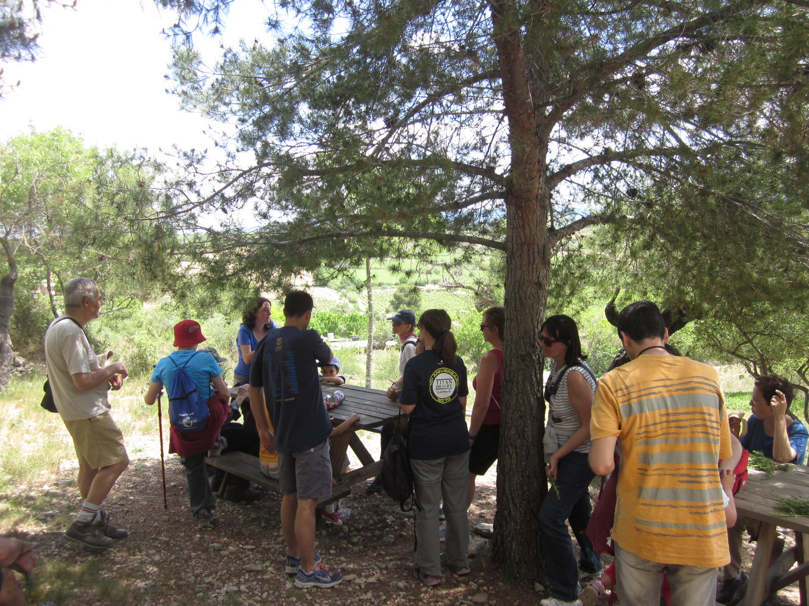 ecosistemes-016