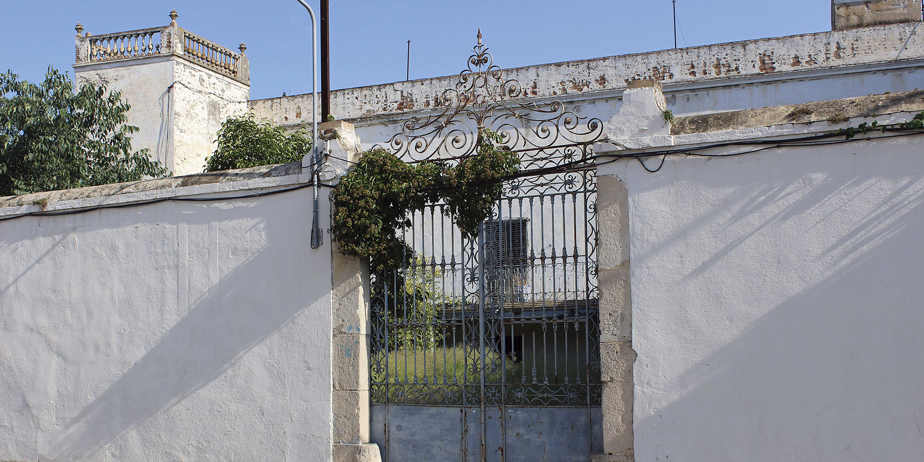 canguineuweb