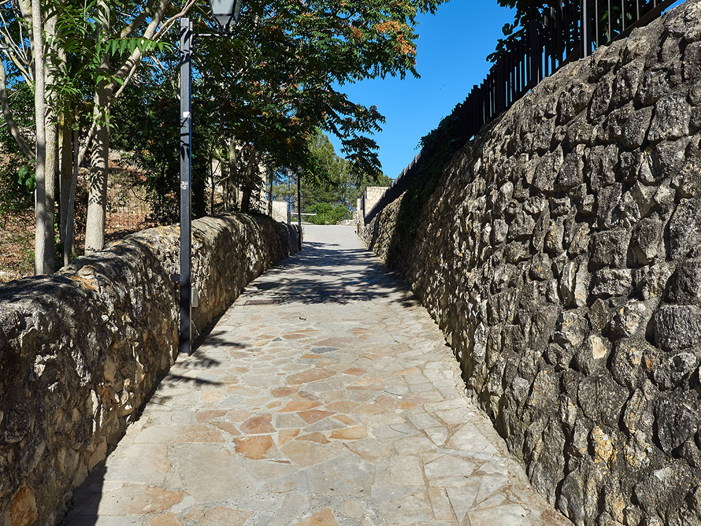 Caiguda Mercè Castellet