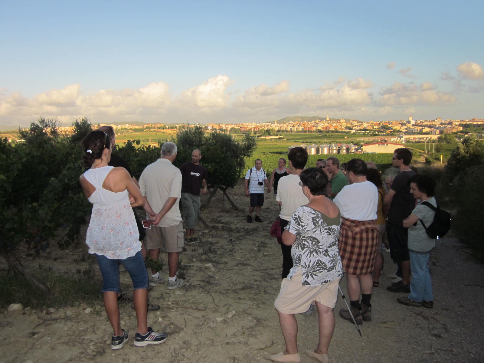 vinyes-008