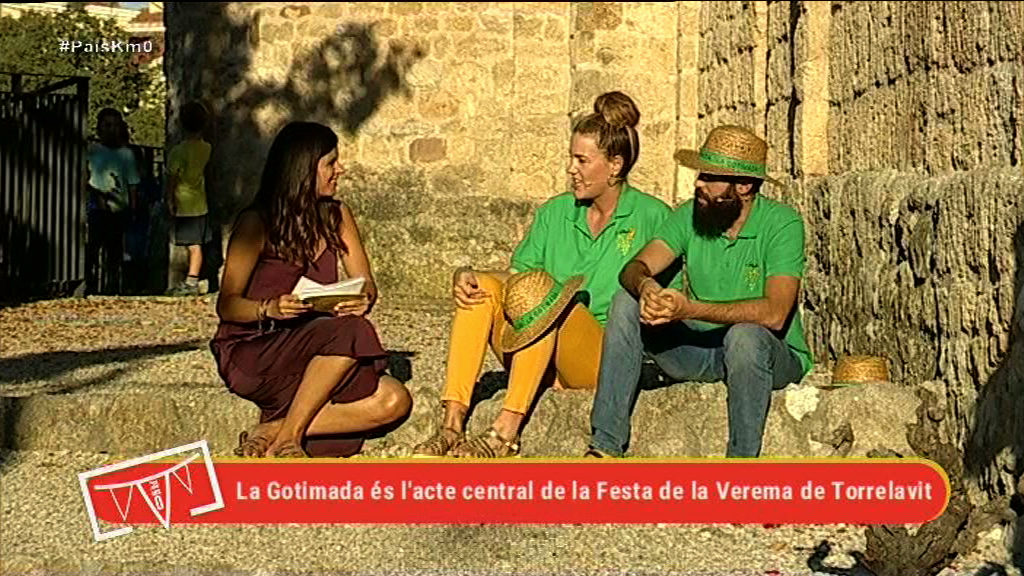 170906torrelavit