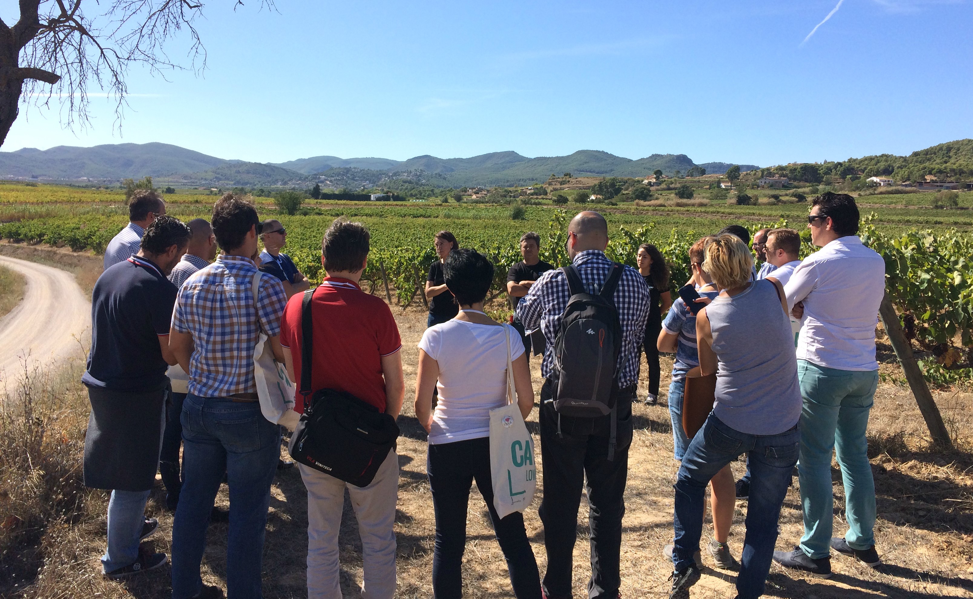 curso-formador-cava-2