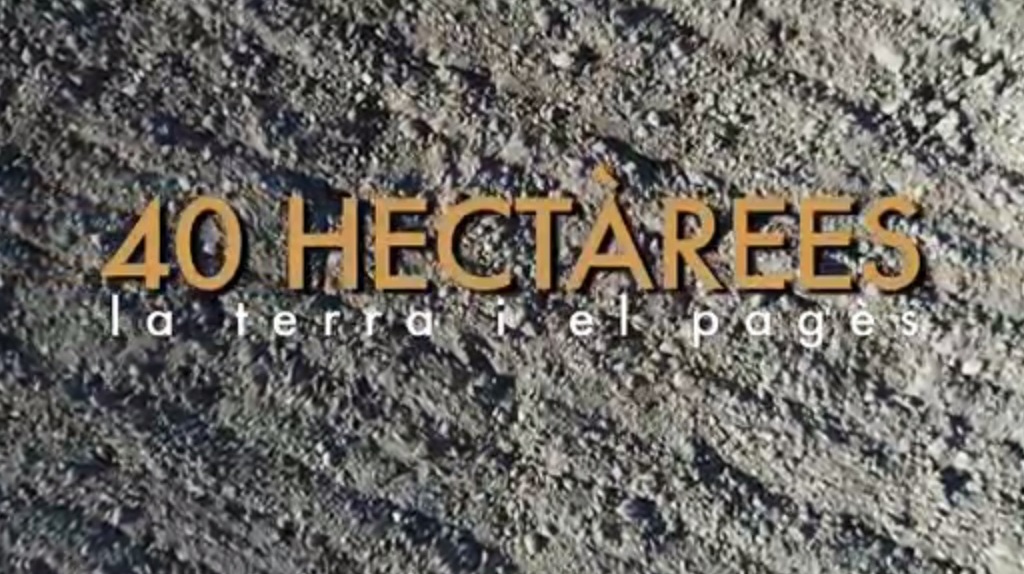40 hectàrees