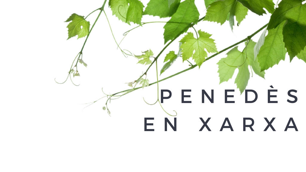 Penedès en Xarxa