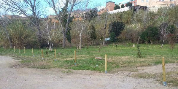 l_hort_de_les_escoles_vandalisme___web