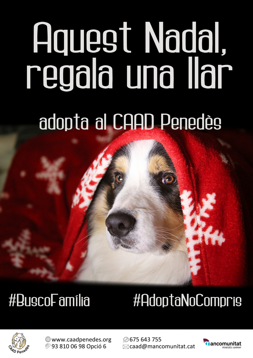Nadal_cartell_gos
