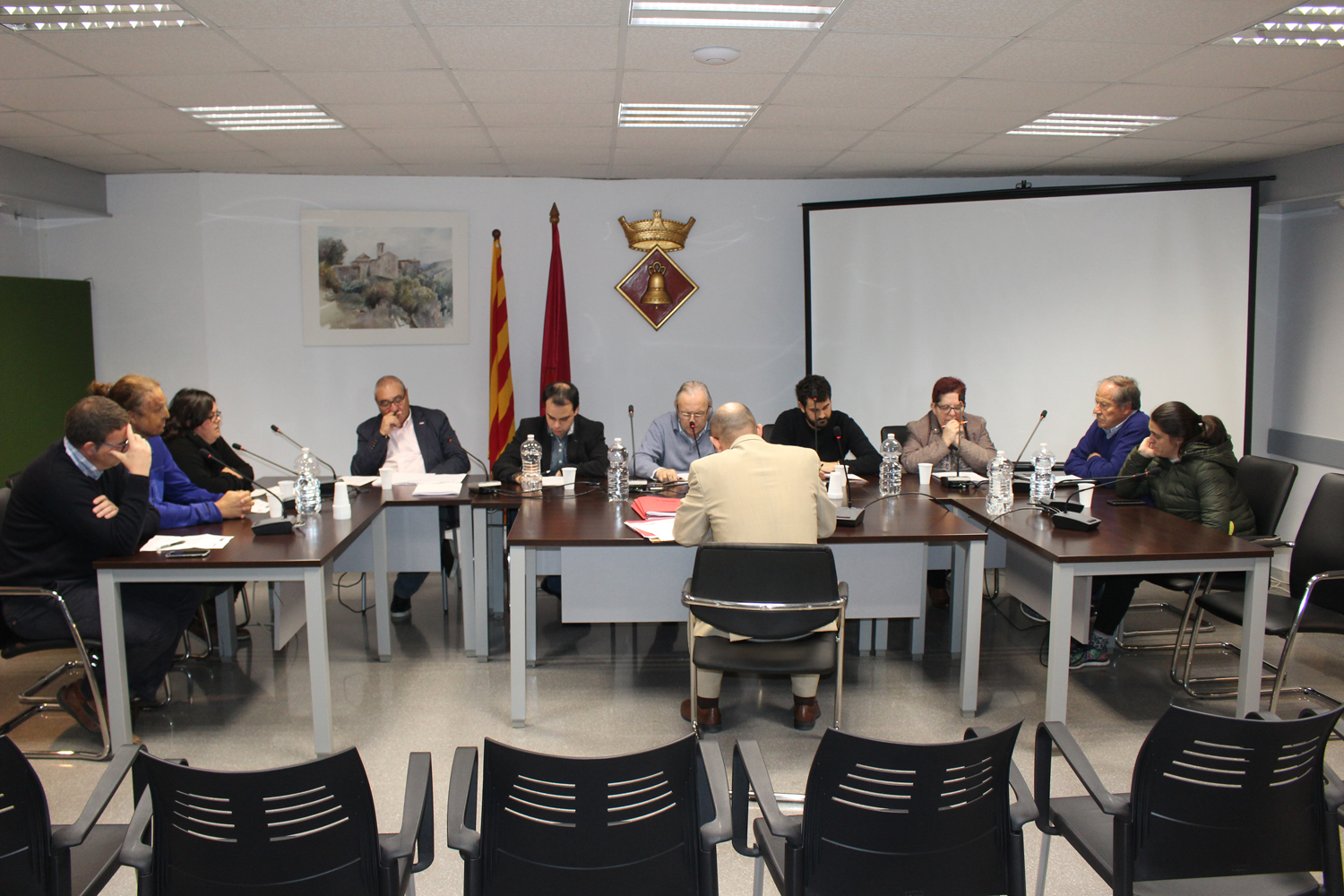 Ple ordinari novembre (1)