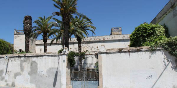 canguineu