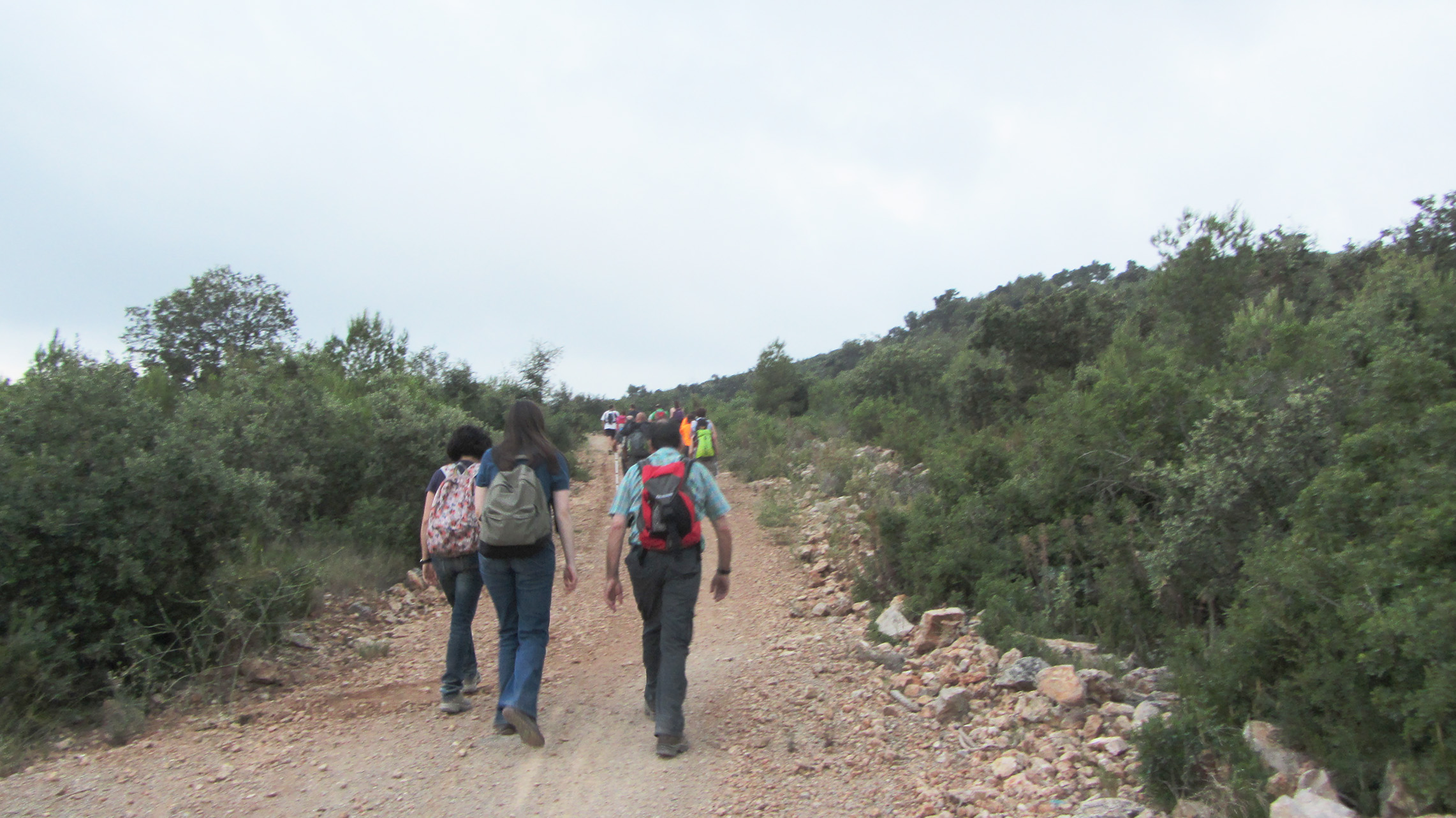 caminada Samuntà_5799bis