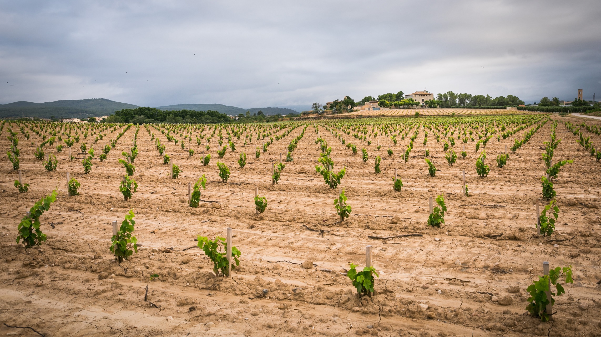 TORRES-190731-Castell_Bleda-Moneu