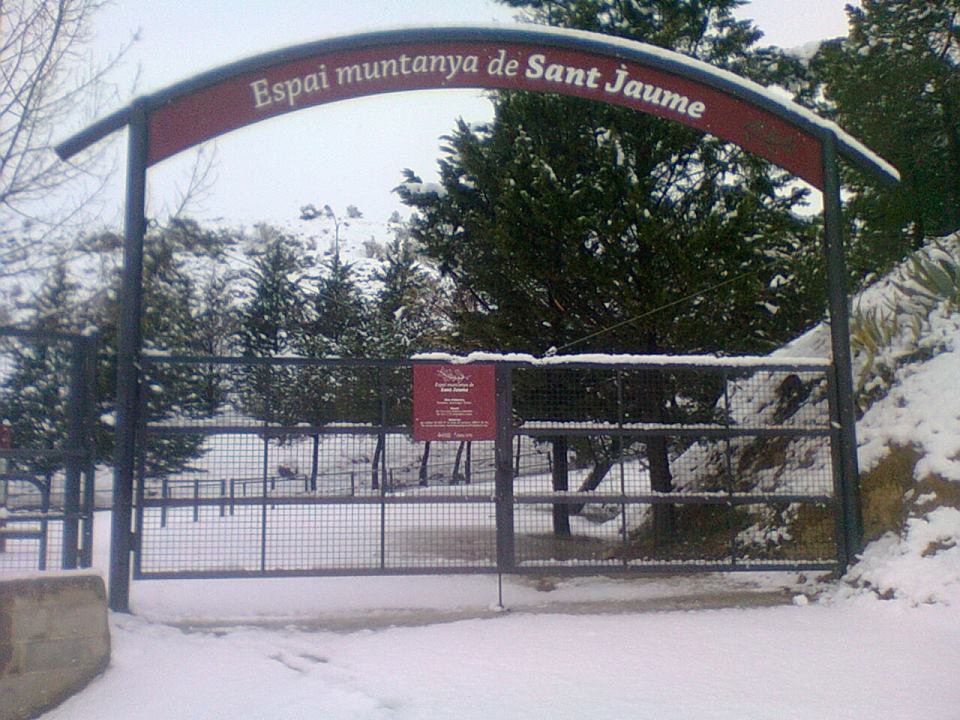 NEU4