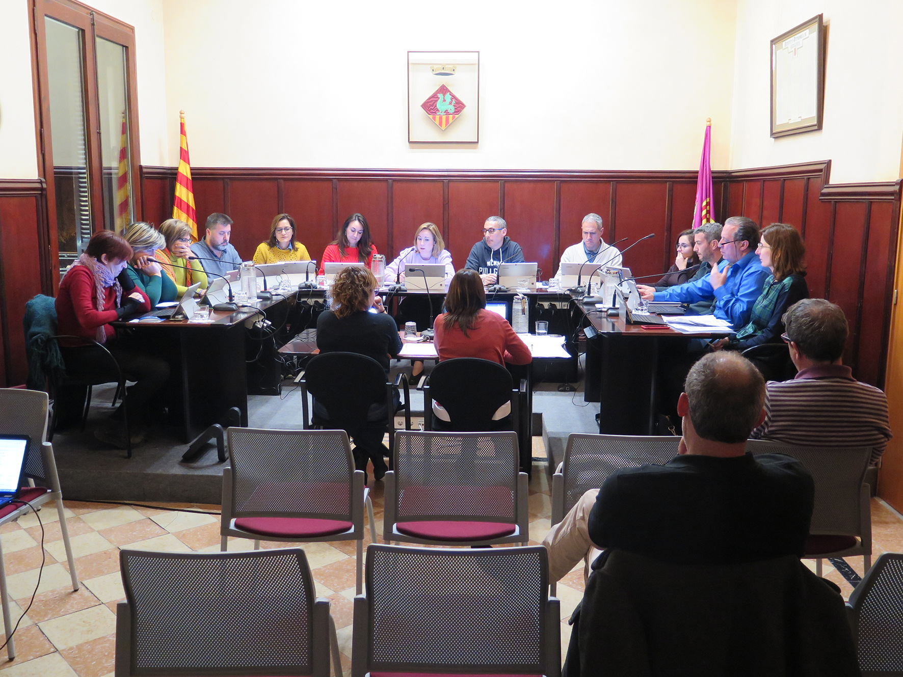 Ple 2 desembre 19 (14)