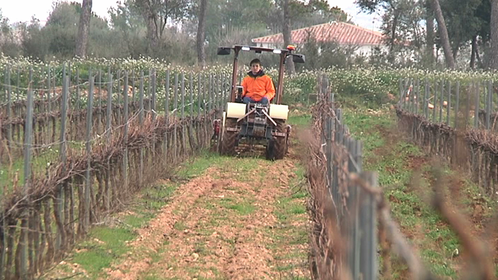 200211tractortorres