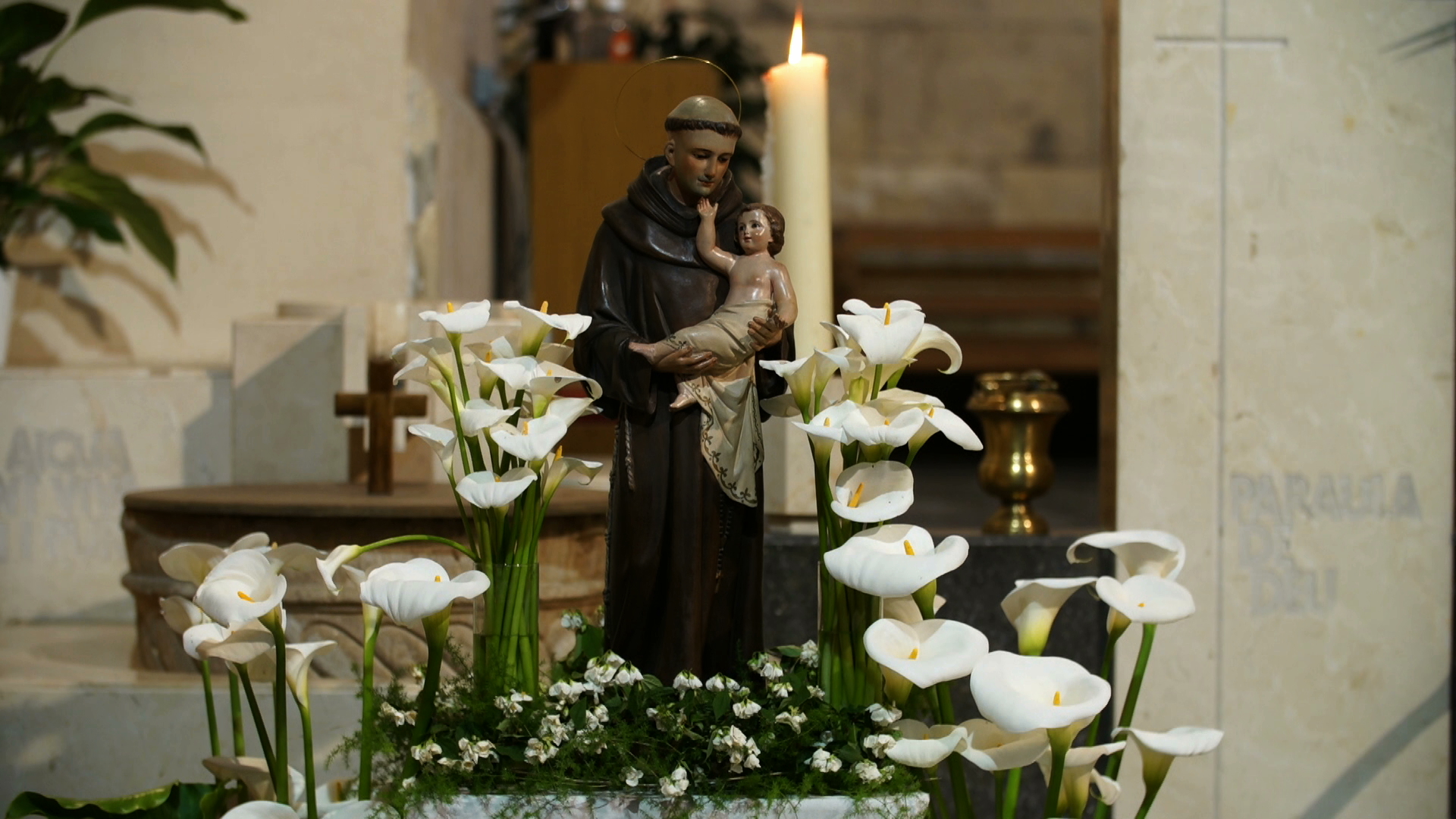 Especial_Sant_Antoni_SantQuinti_4maig-1