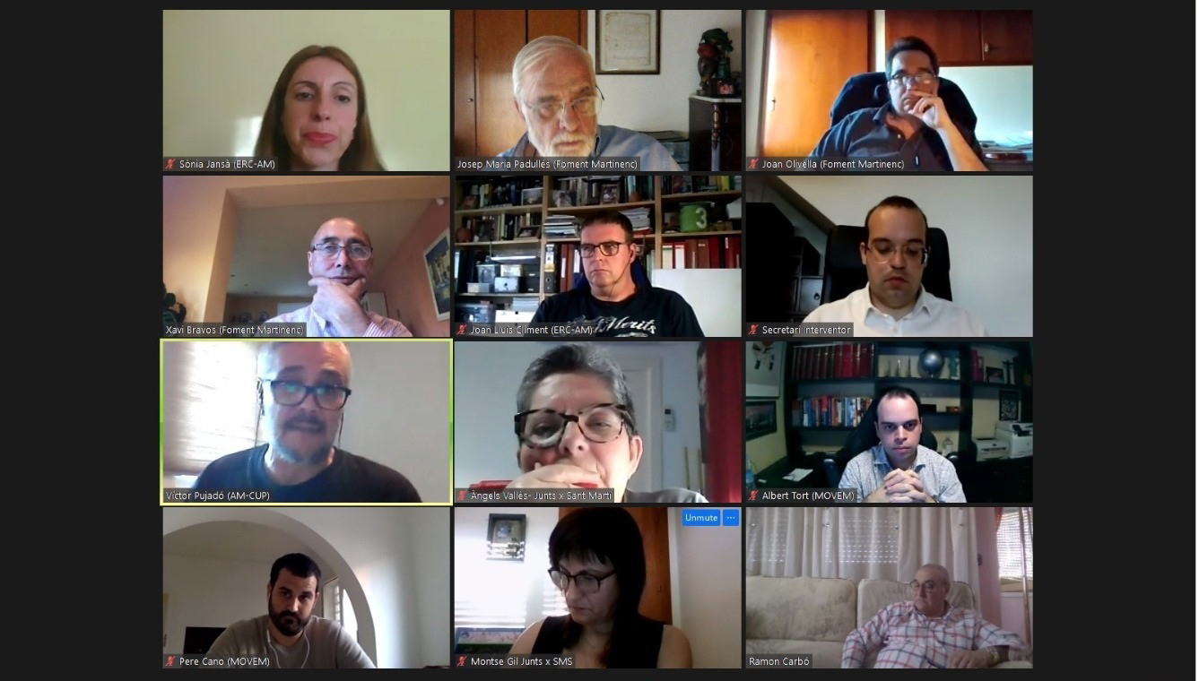 Ple Ordinari 21-05-20
