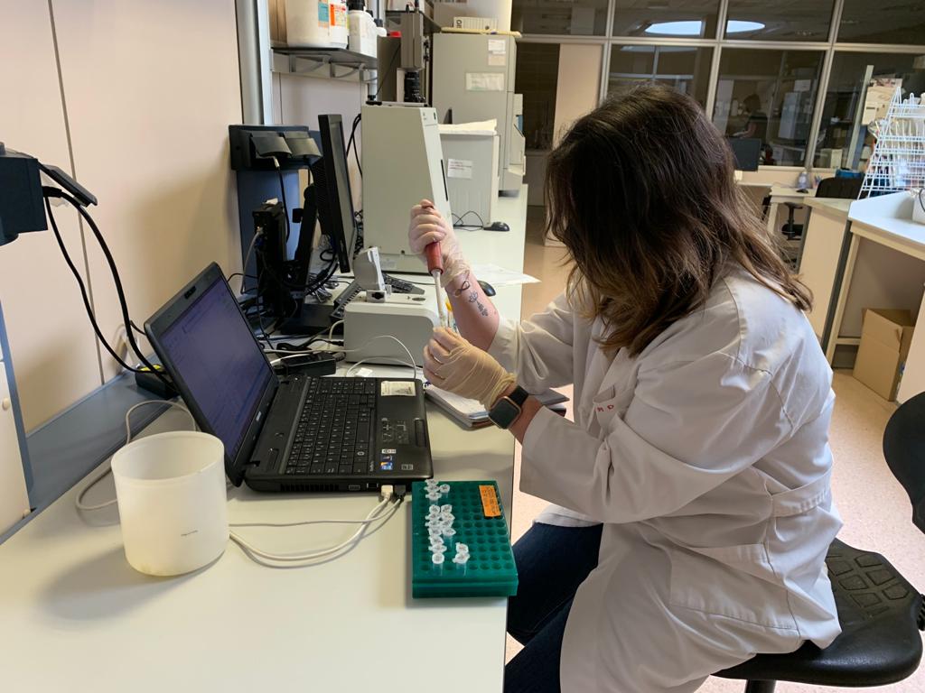 incavi LABORATORI