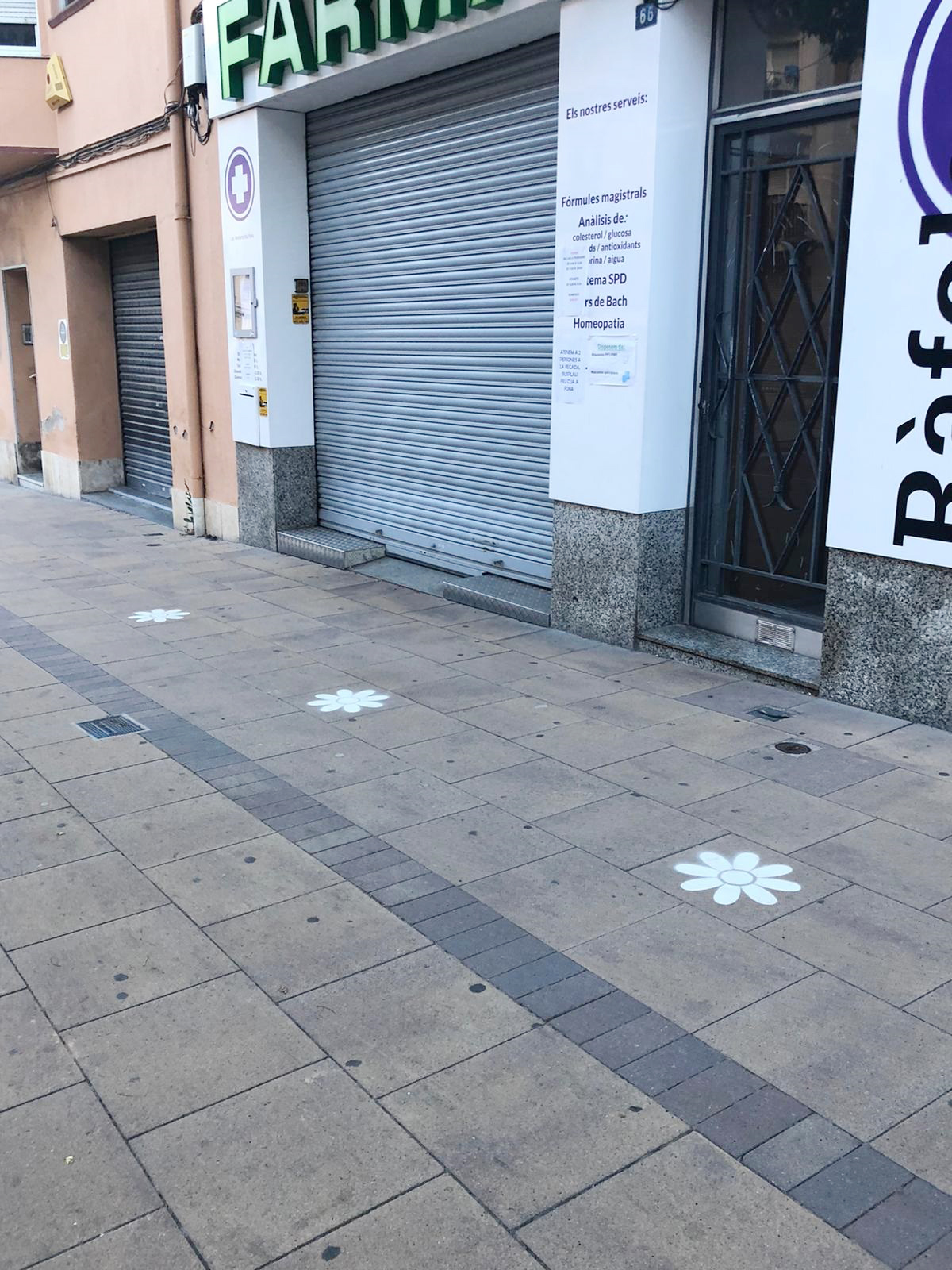 Seguiu la Margarida