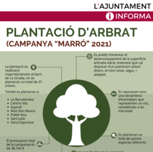 campanya_plantacio_arbres_3_0_0