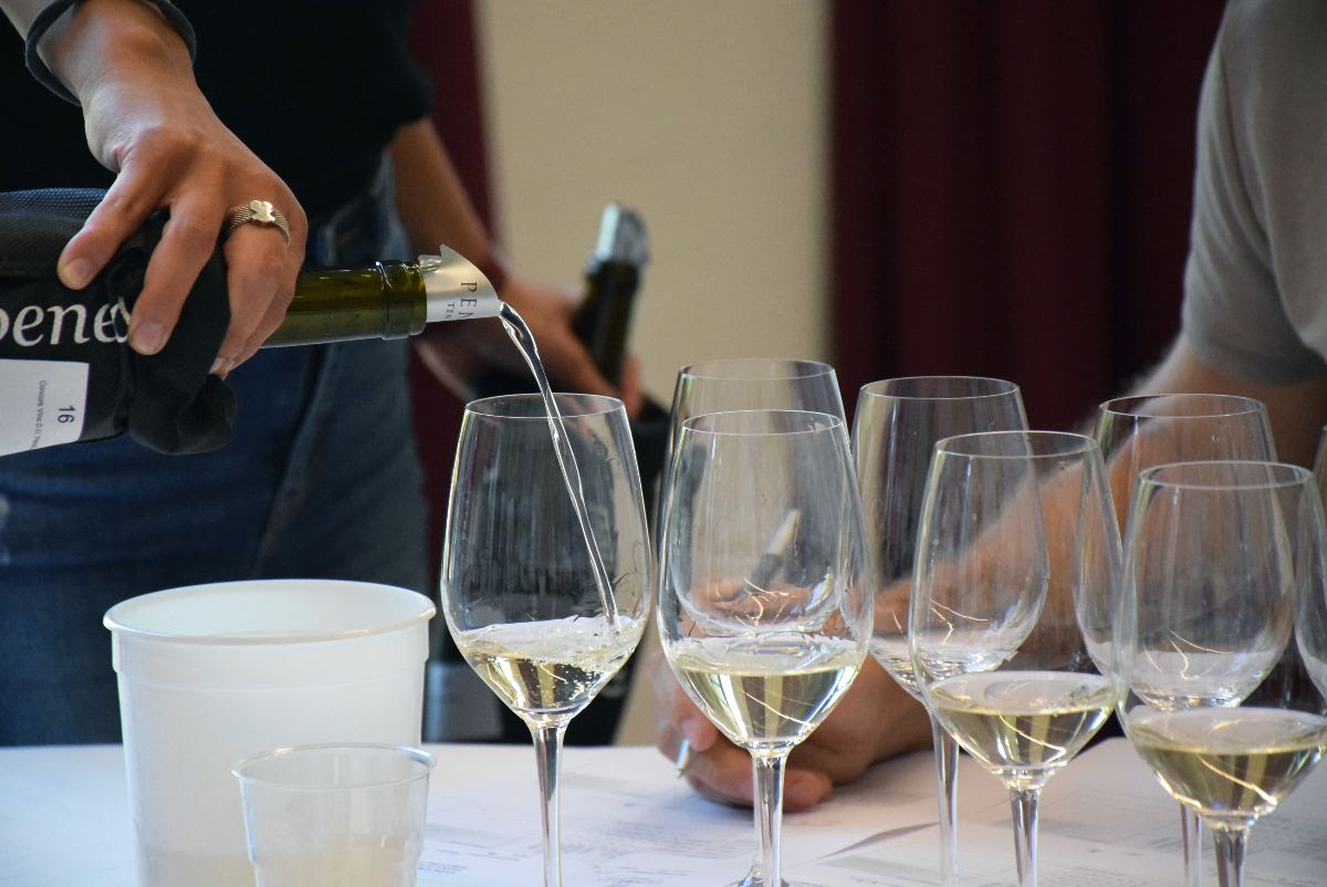 DO Penedes (5)