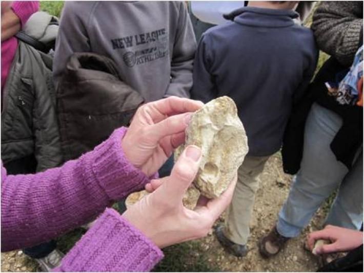 fossils_1_0