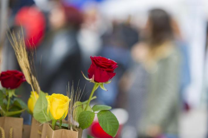sant_jordi_2019-5175_0_0