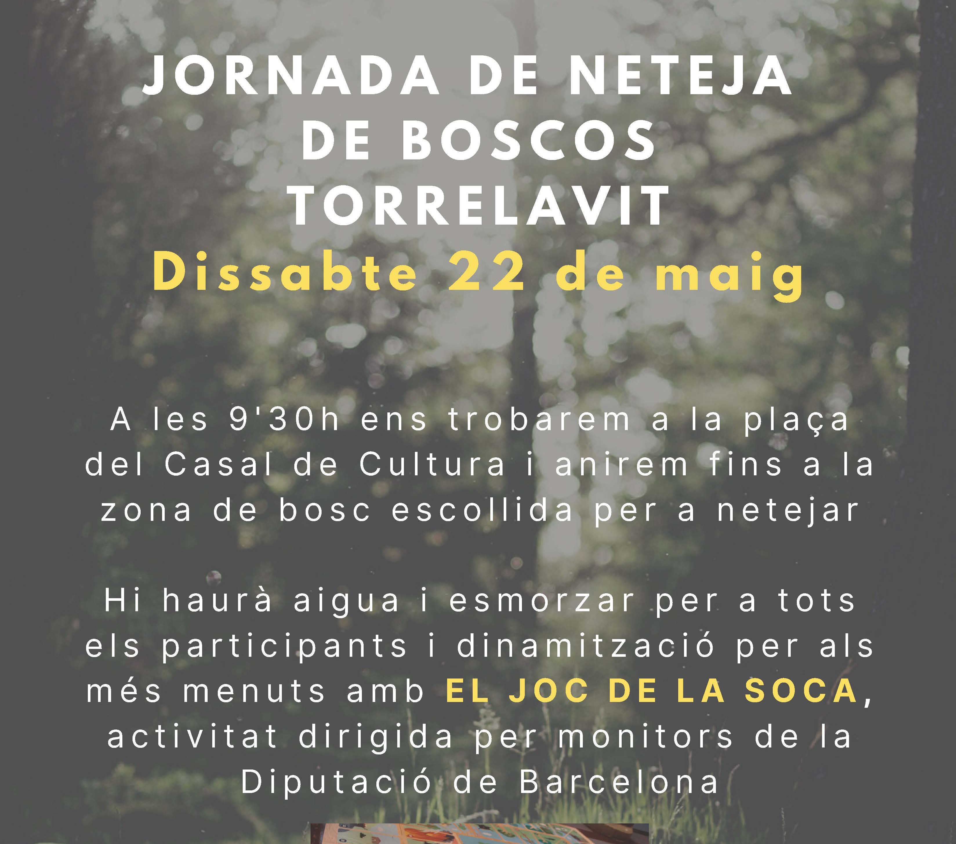 Jornada de neteja de boscos Torrelavit