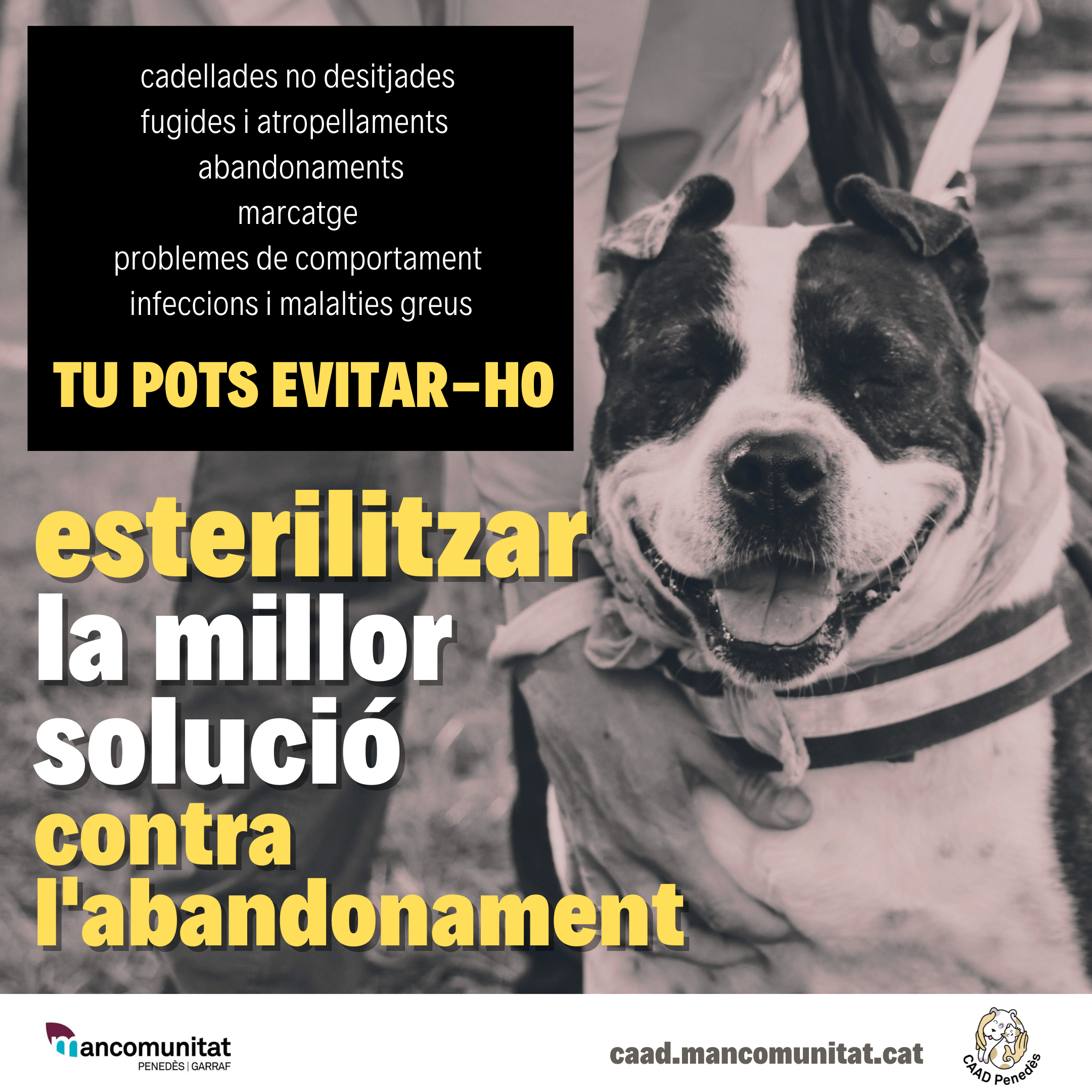 esterilitzacioFCIG