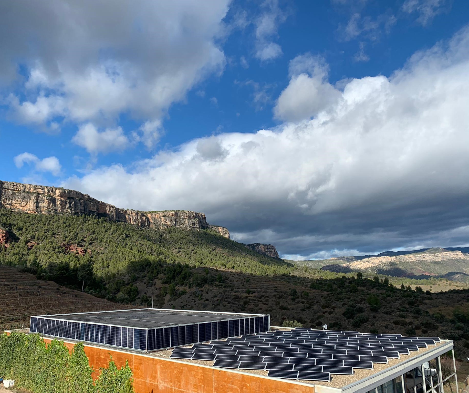 FAMILIA_TORRES-Bodega_Priorat-placas_fotovoltaicas