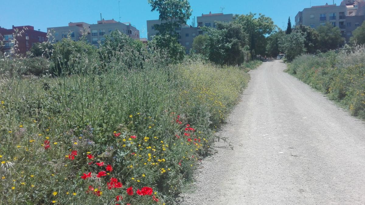 img_20170519_132419_0