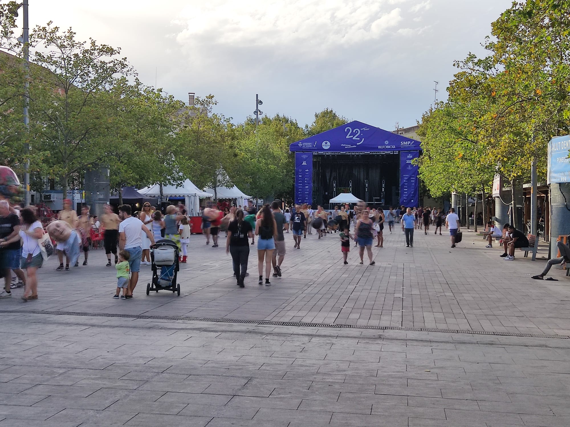 prèvia concerts fm 29
