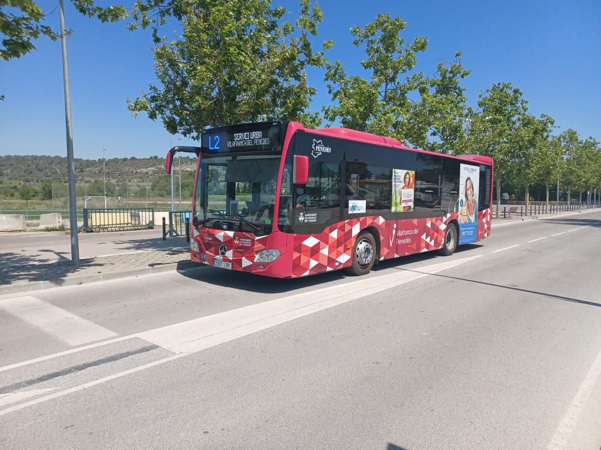 bus