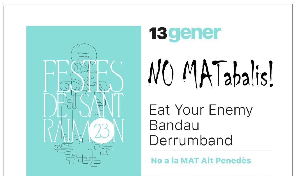 Concert 13 gener NO MAT_abalis