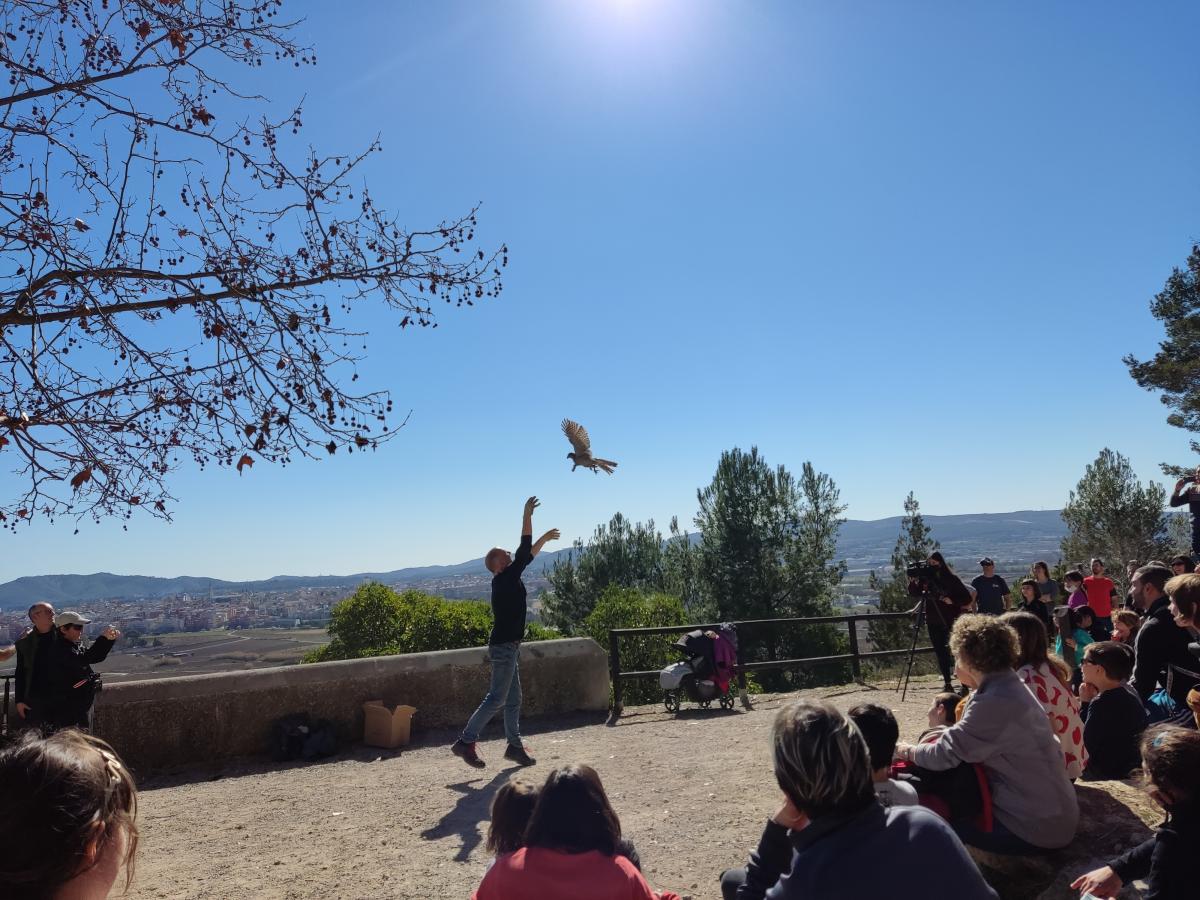 alliberament_dun_rapinyaire_a_sant_pau_0