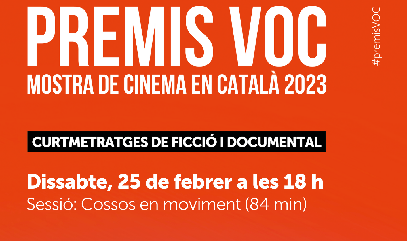VFP Cartell_A3_VOC_2023