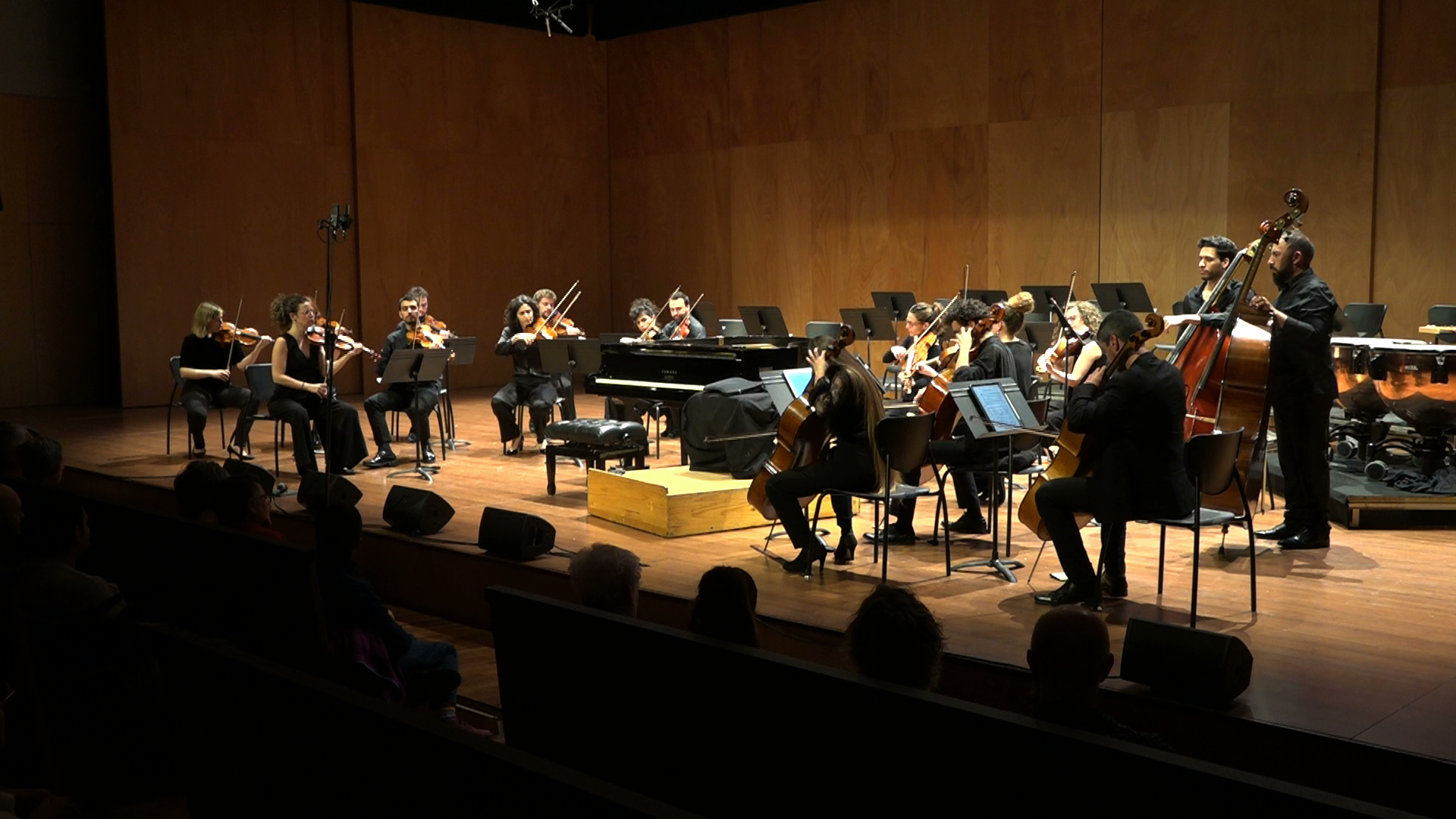 CAMERATA PENEDÈS MARÇ