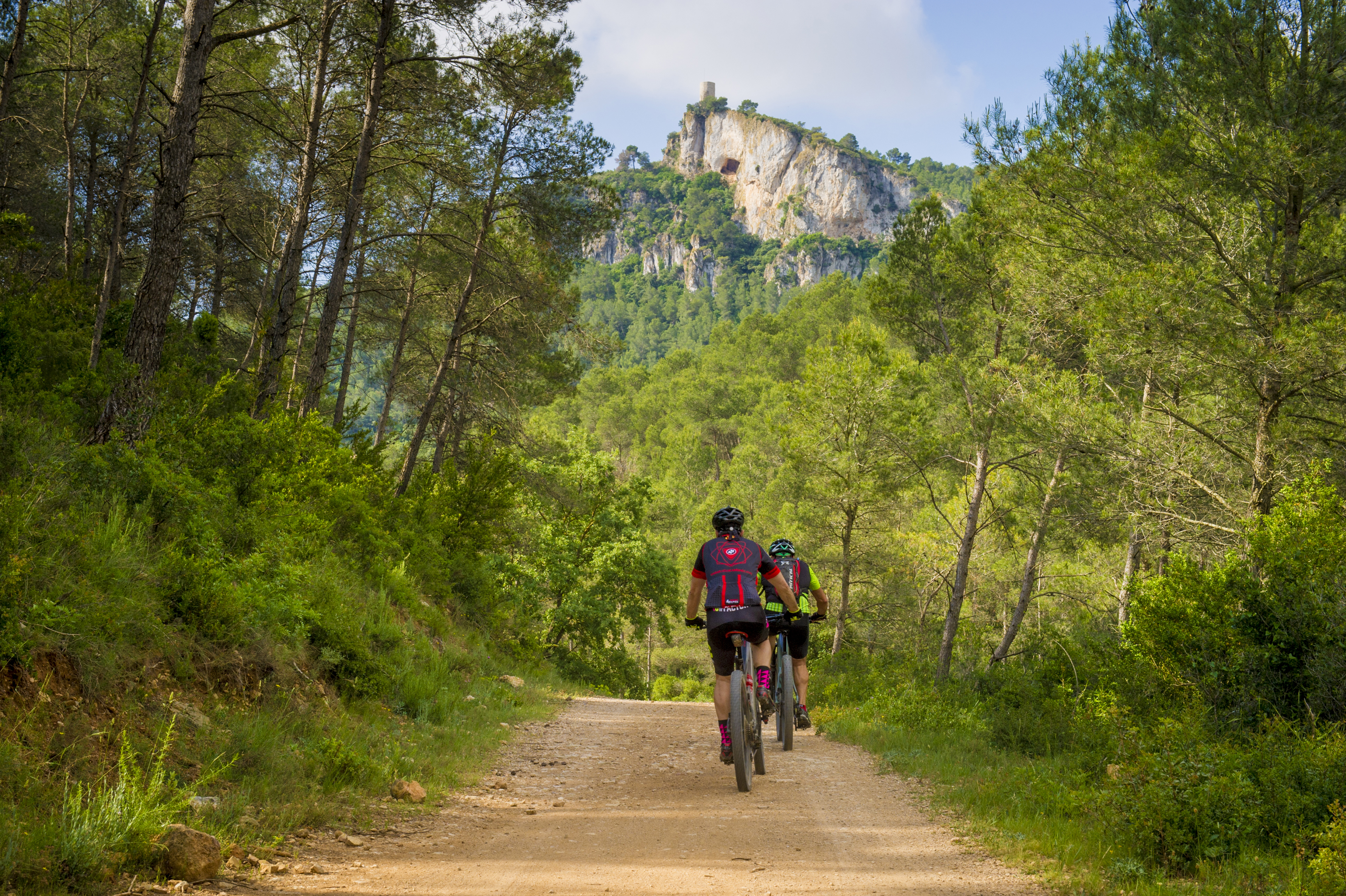 camins-5284