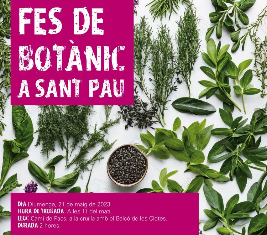 cartell_botanica_a_sant_pau23_0