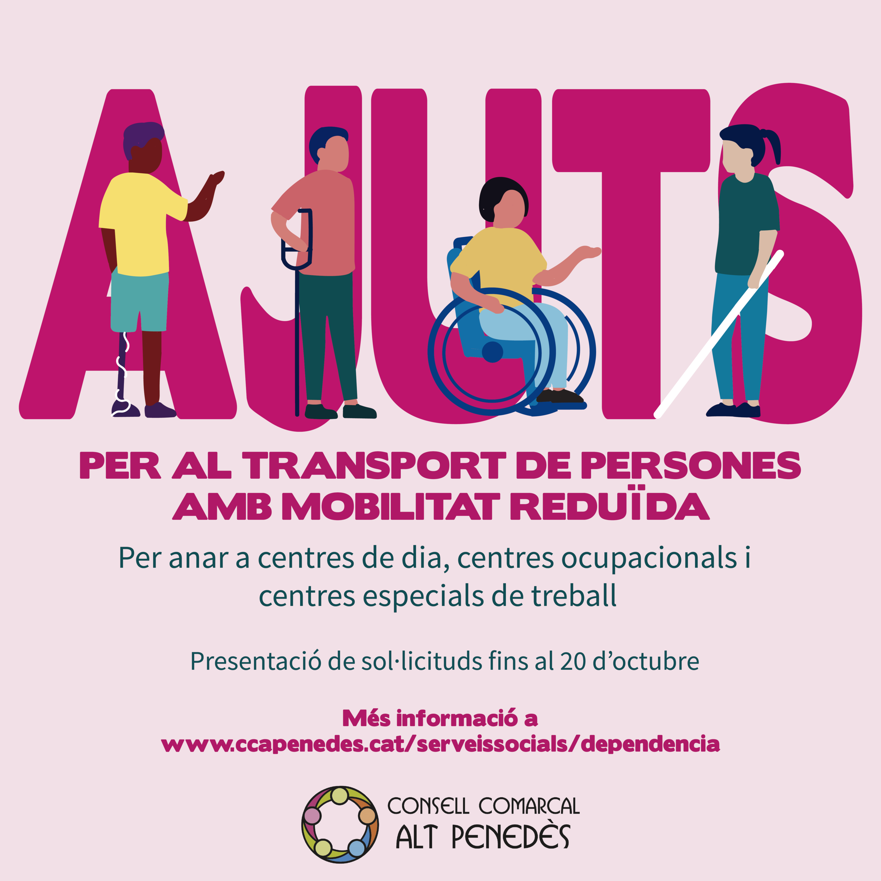 AjutsTransport_Mesa de trabajo 1