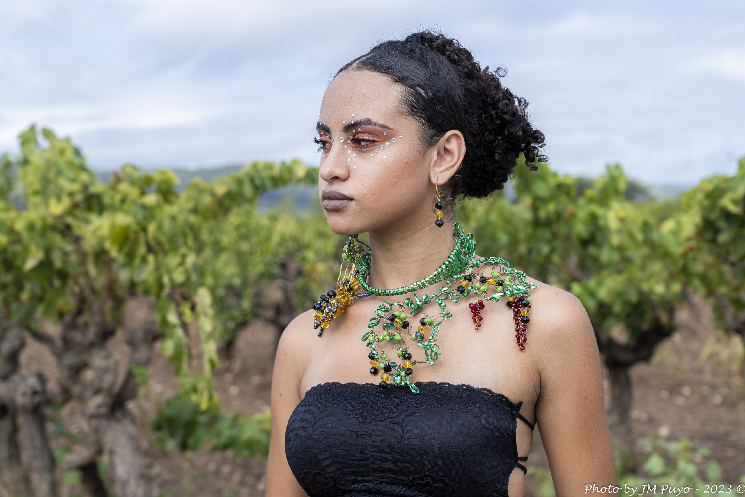 _JMP6687  – BODEGAS SUMARROCA