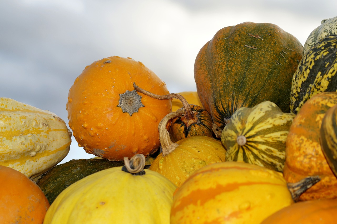 pumpkins-3698551_1280