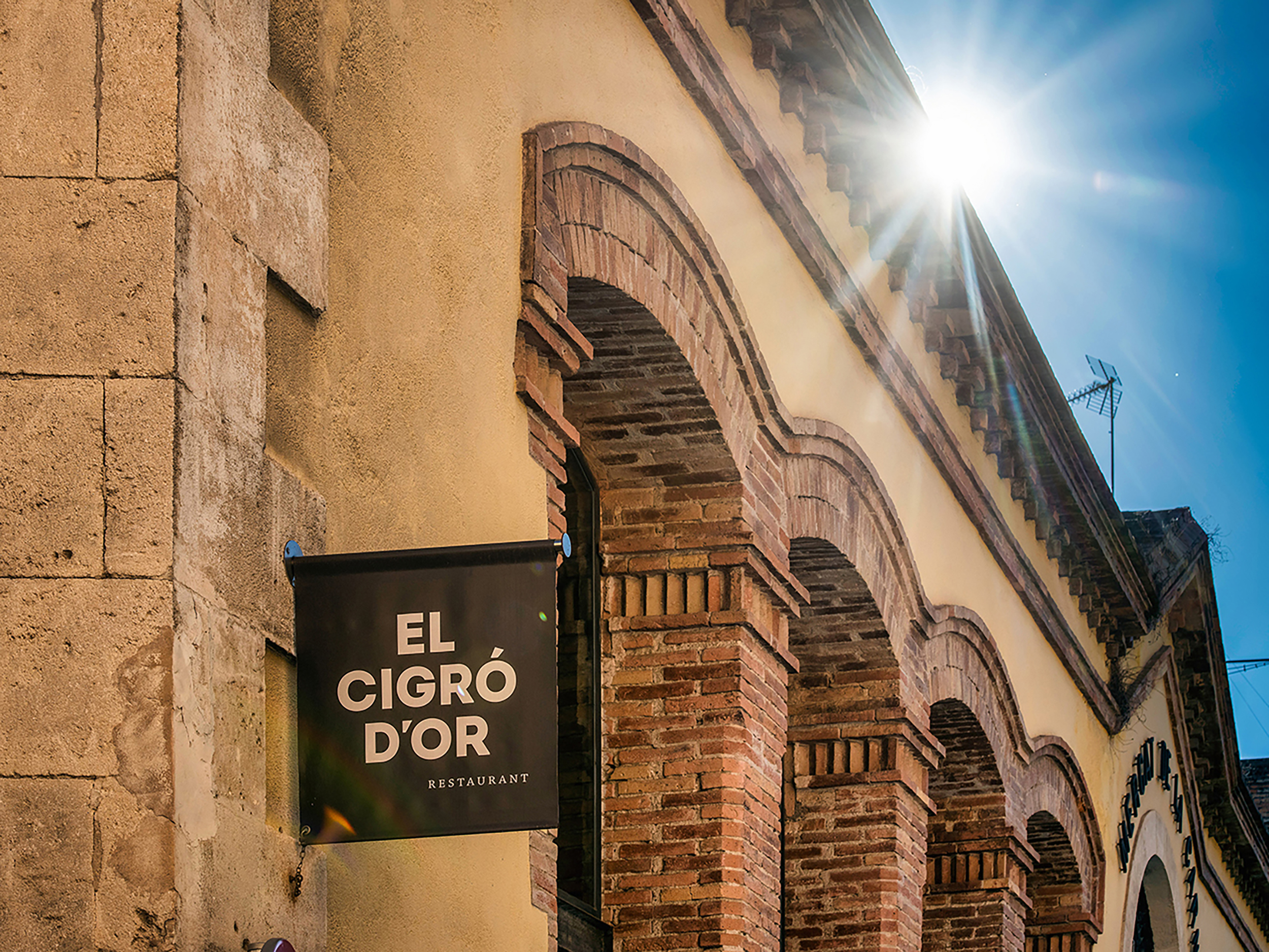 Cigró d’or